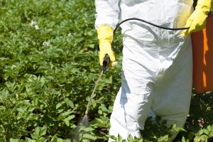 A man in a bio hazard suit spraying plants